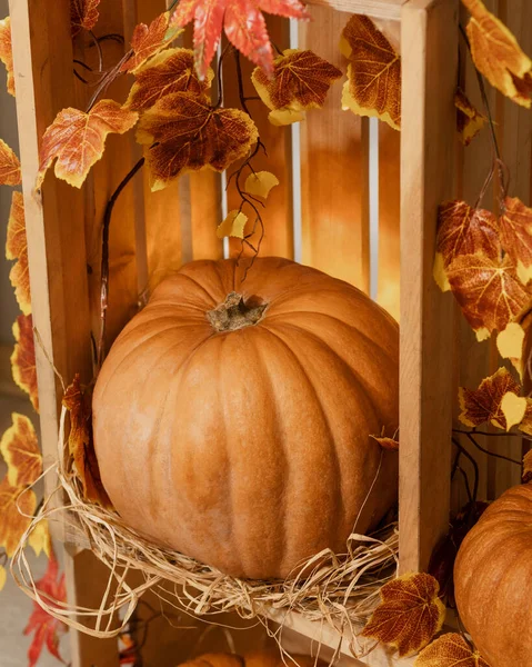 Halloween Pumpkins Wooden Crates Candles Straw Autumn Leaves — Stock Photo, Image