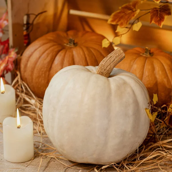 White Halloween Pumpkins Wooden Crates Candles Straw Autumn Leaves — Stock Photo, Image
