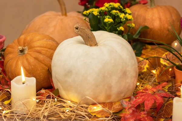 White Halloween Pumpkins Wooden Crates Candles Straw Autumn Leaves — Stock Photo, Image