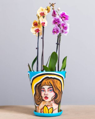 Sarı ve pembe güve çiçekleri ellerinde boyalı saksı, soyut kadın yüzü