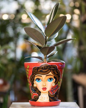 Rubber incir Ficus elastica plastik ağaç boyalı tencerede