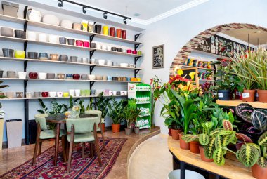 Büyük masa, tabure, bahçede bir vitrin, bitki dükkanı.