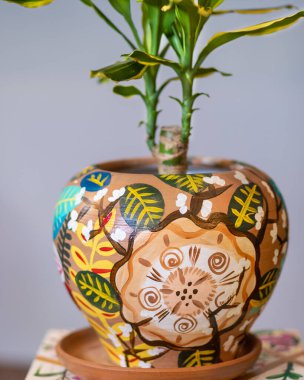 Büyük masa, tabure, bahçede bir vitrin, bitki dükkanı.