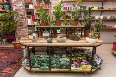 Büyük masa, tabure, bahçede bir vitrin, bitki dükkanı.