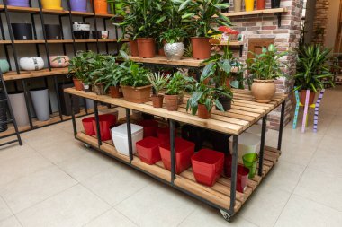 Büyük masa, tabure, bahçede vitrin, bitki dükkanı.