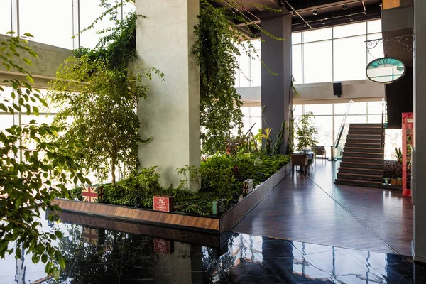 有植物的漂亮餐厅内部 — 图库照片