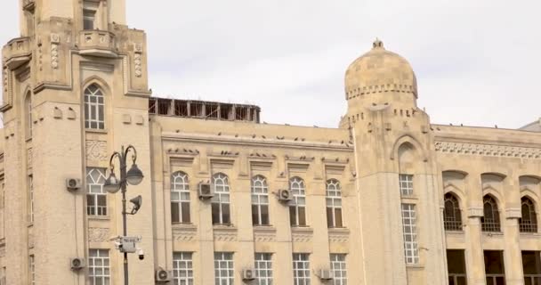 Dove Merpati Gedung Kota Baku — Stok Video