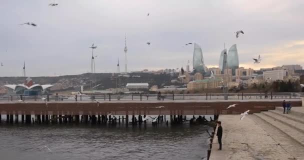 Hermosa Ciudad Bakú Junto Mar Con Una Gaviota Vista Mar — Vídeos de Stock