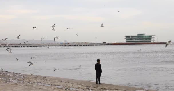 Seul Regarder Mer Caspienne Les Mouettes Volent — Video