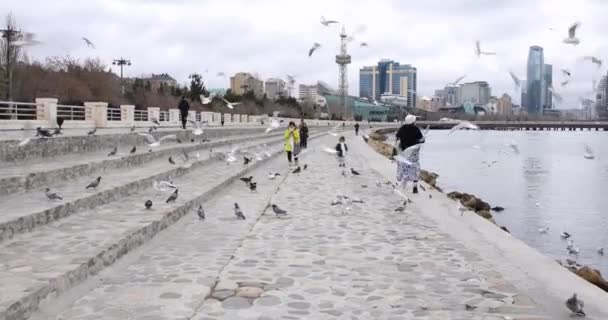 Чайки Летят Каспийскому Морю Человек Идет — стоковое видео
