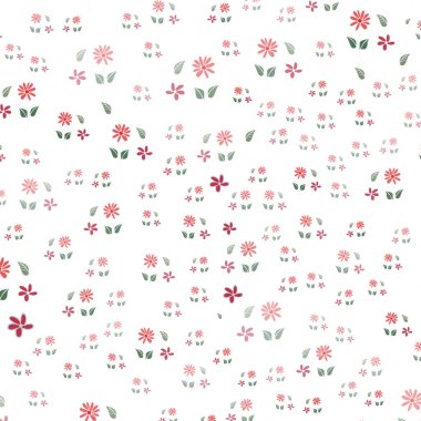 Pembe kırmızı opaklığı papatyaları, dikişsiz desenleri.