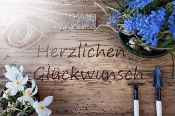 Sunny Spring Flowers, Herzlichen Glueckwunsch Means Congratulations — Stock Photo, Image