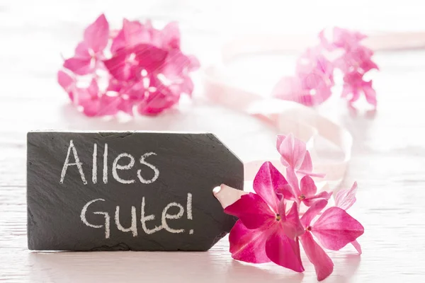 Hortensia Blossom, Alles Gute betekent beste wensen — Stockfoto