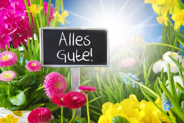 Zonnige lente bloemen weide, Alles Gute betekent beste wensen — Stockfoto