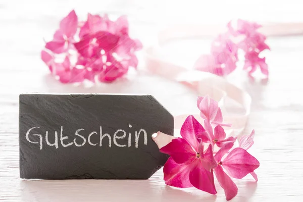 Hortensia Blossom, Gutschein innebär Voucher — Stockfoto