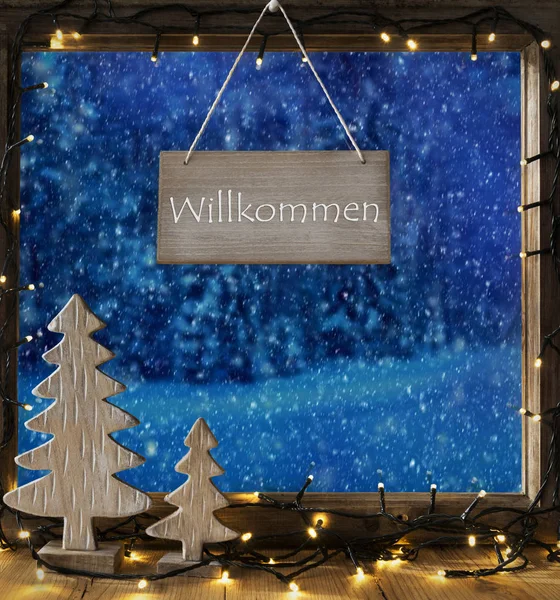 Okno s Winter Forest, znamená Willkommen Welcome — Stock fotografie