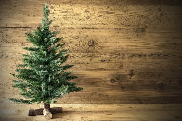 Green Christmas Tree On Brown Rustic Background — Stock Photo, Image