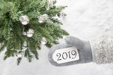 Yeşil Noel ağacı, gri eldiven, metin 2019, karlı arka plan