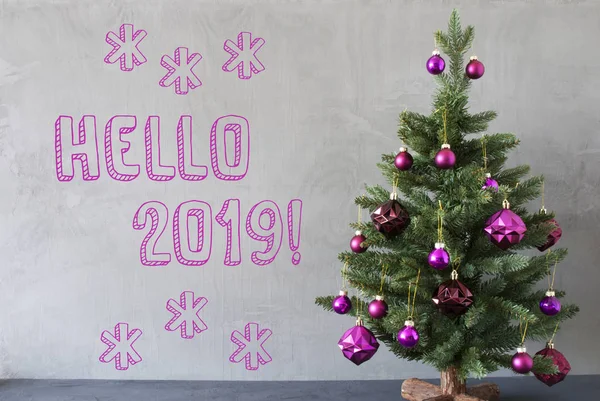 Choinka, ściany cementu, angielski tekst Hello 2019 — Zdjęcie stockowe