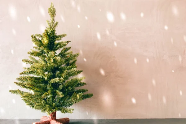 Gröna träd, kopia utrymme för reklam, snöflingor — Stockfoto