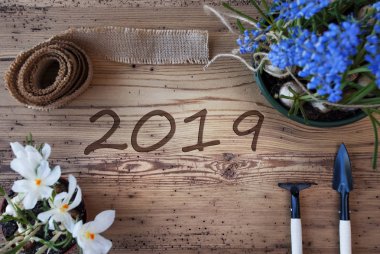 Mavi ve beyaz bahar çiçek, metin 2019, kahverengi ahşap arka plan