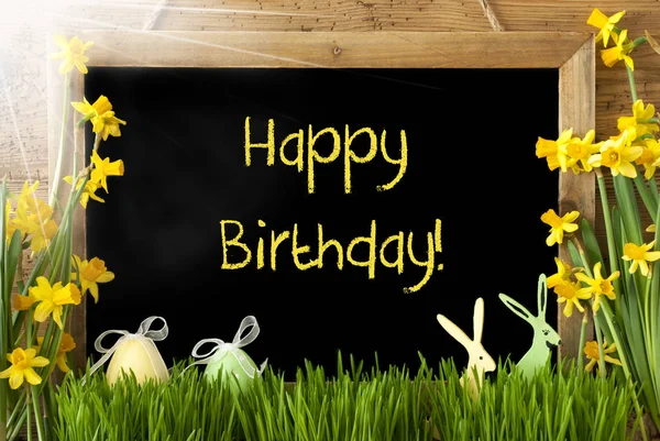 Zonnige Narcissus, paasei, Bunny, tekst Happy Birthday — Stockfoto
