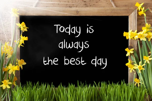Sunny Spring Narcissus, Chalkboard, Quote Today Is The Best Day — Stock Photo, Image
