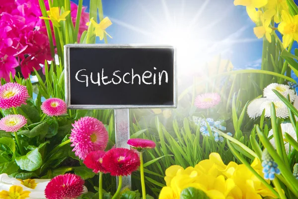 Sunny Spring Flower Meadow, Gutschein significa voucher — Fotografia de Stock