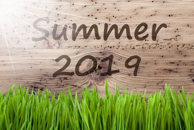Parlak güneşli ahşap arka plan çimen, metin yaz 2019