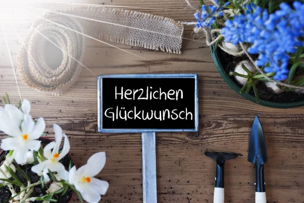 Soliga våren blommor, Sign, Herzlichen Glueckwunsch betyder Grattis — Stockfoto