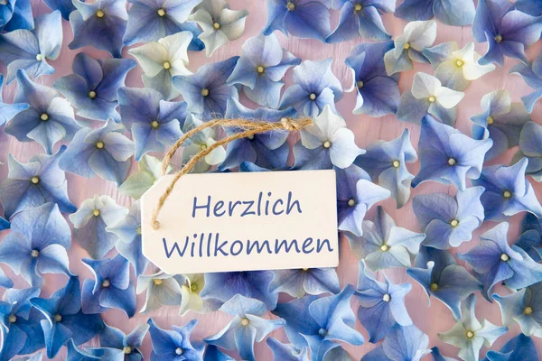 Hydrangea Flat Lay, Willkommen Means Welcome, Background — Stock Photo, Image