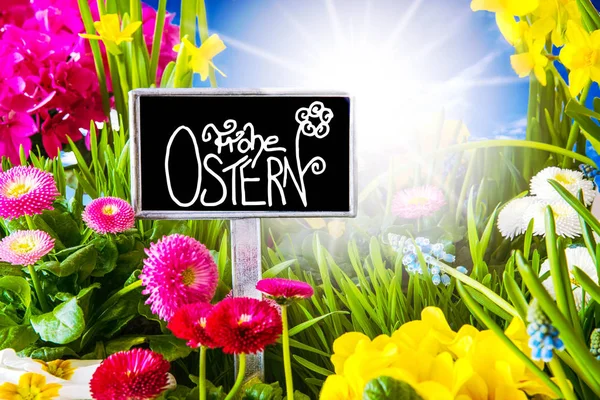Sonnige Frühlingsblume, Kalligraphie frohe ostern bedeutet frohe Ostern — Stockfoto