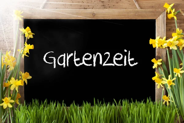 Soliga våren Narcissus, Chalkboard, Gartenzeit betyder trädgård — Stockfoto