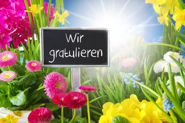 Soleado prado de flores de primavera, Wir Gratulieren significa felicitaciones —  Fotos de Stock