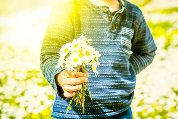 Bambino piccolo è holding un mazzo di margherita fiore — Foto Stock