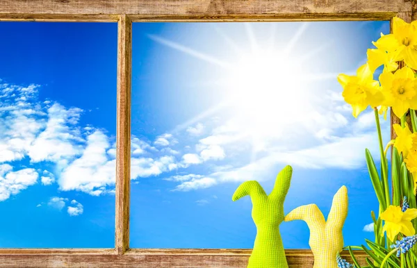 Pencere, güneşli mavi gökyüzü, Paskalya dekorasyon ve Nergis bahar çiçek — Stok fotoğraf