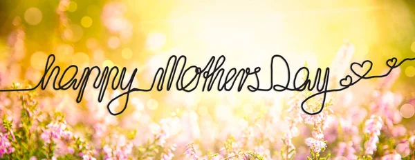 Поле цветов "Солнечная Эрика", каллиграфия С Днем матери — стоковое фото