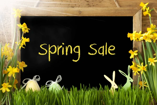 Narciso soleado, Huevo de Pascua, Conejo, Venta de primavera de texto —  Fotos de Stock