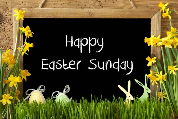 Narcis, vajíčko, zajíček, Text Veselé Velikonoce neděle — Stock fotografie