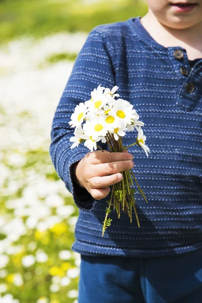Bambino piccolo è holding un mazzo di margherita fiore — Foto Stock