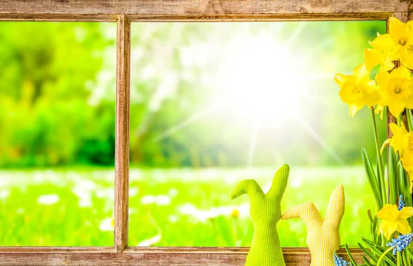 Fenster, sonnige grüne Wiese, Osterdekoration, Frühlingsblume — Stockfoto