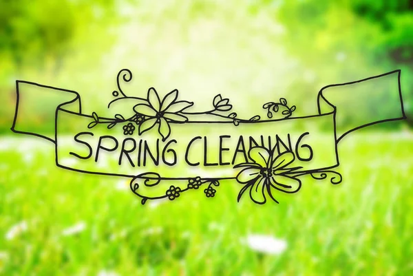Sunny Spring Meadow, Daisy, Calligraphy Spring Cleaning — Stock Photo, Image