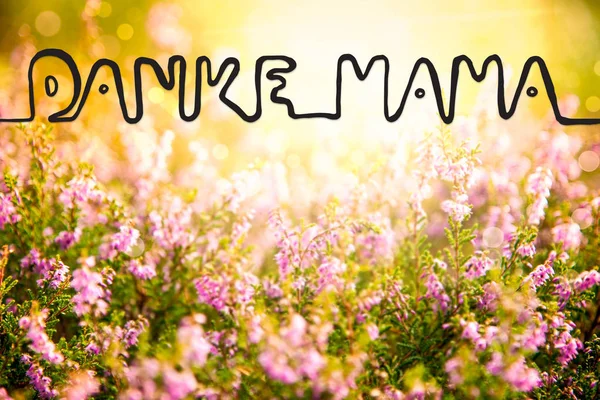 Эрика Флауэр Филд, каллиграфия Danke Mama Means Thanks Mom — стоковое фото