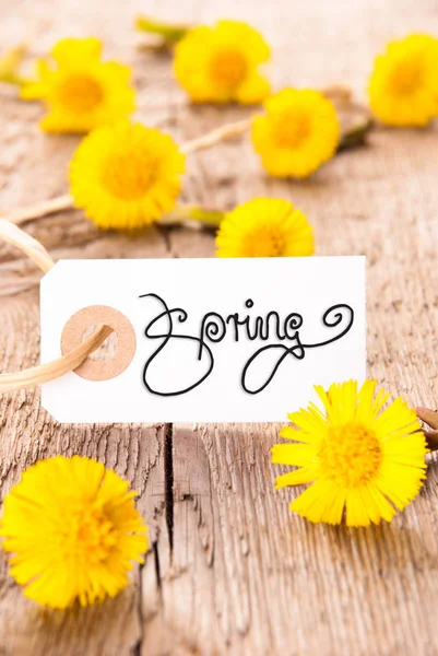 White Label, Dandelion, Calligraphy Spring, Wooden Background — Stock Photo, Image