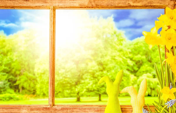 Rustikales Holzfenster, Osterhase, sonnige Bäume, Frühlingsblumen — Stockfoto