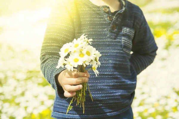 Copilul ține un buchet de Daisy Flower — Fotografie, imagine de stoc