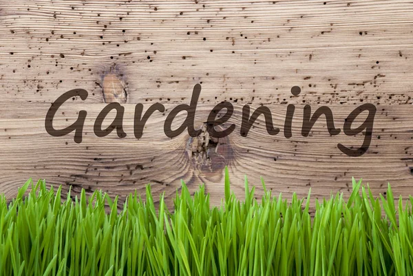 Bright Wooden Background, Grass, English Text Gardening — Stock Photo, Image