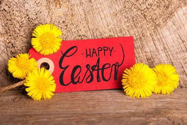 Etiqueta Roja, Diente de León, Caligrafía Inglés Feliz Pascua — Foto de Stock