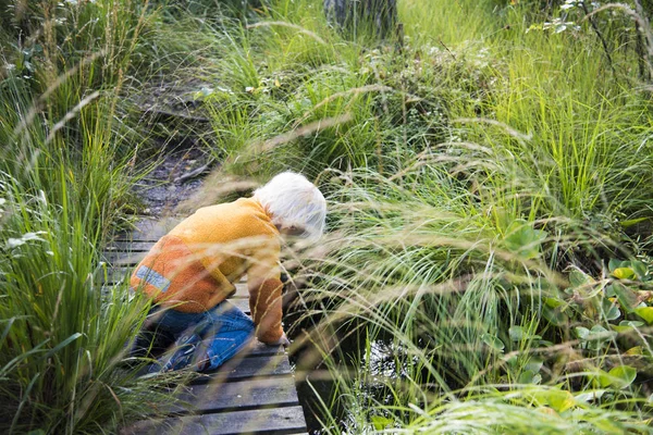 Loira menino jogar no pequeno riacho no sueco natureza — Fotografia de Stock