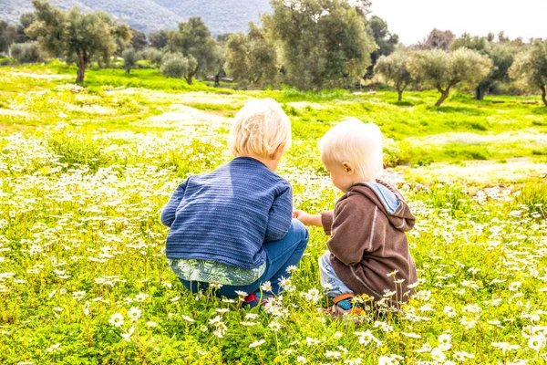 Due figli, fratelli, seduti in un prato di fiori margherita — Foto Stock